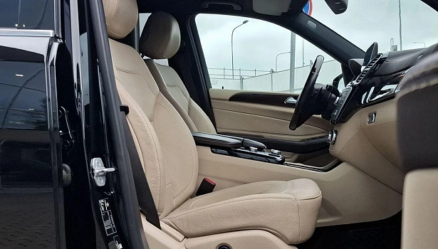 Mercedes-Benz GLE 350 d 4MATIC Внедорожник Особая серия (249 л.с.) фото 10