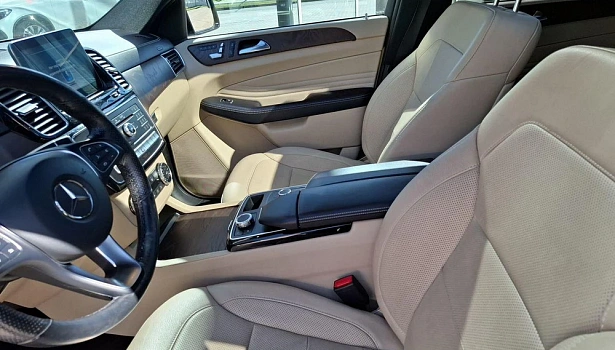 Mercedes-Benz GLE 350 d 4MATIC Внедорожник Особая серия (249 л.с.) фото 10