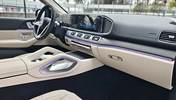 Mercedes-Benz GLE 300 d 4MATIC Внедорожник (269 л.с.) фото 10