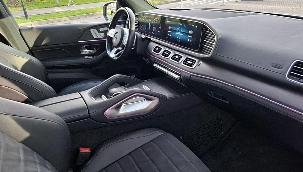 Mercedes-Benz GLE 350 d 4MATIC Внедорожник (272 л.с.) фото 12