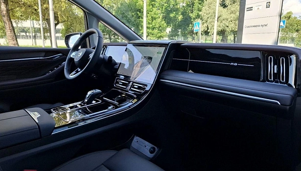GAC M8 2.0 4WD Минивэн GX Premium (231 л.с.) фото 11
