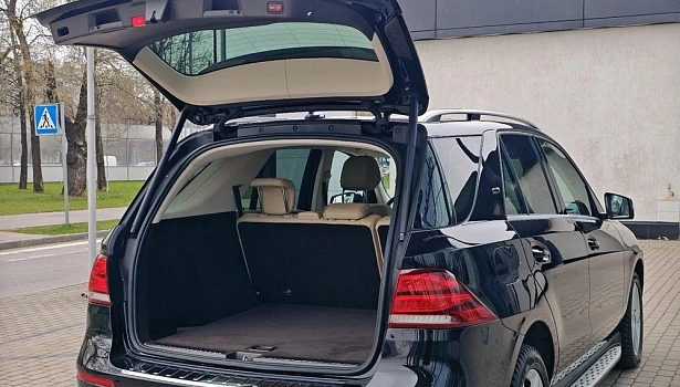 Mercedes-Benz GLE 250 d 4MATIC Внедорожник Особая серия (204 л.с.) фото 18