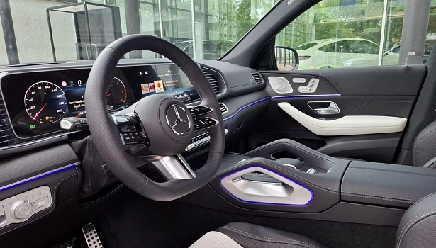 Mercedes-Benz GLE 300 d 4MATIC Внедорожник (269 л.с.) фото 9