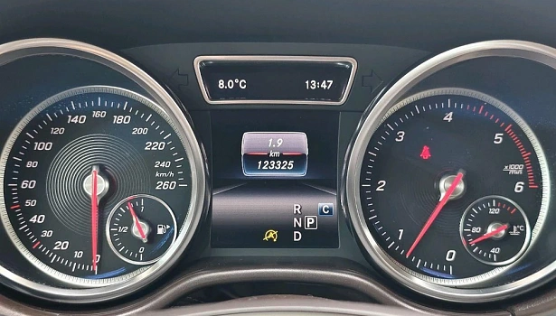 Mercedes-Benz GLE 250 d 4MATIC Внедорожник Особая серия (204 л.с.) фото 22