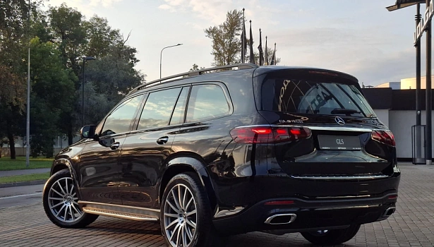Mercedes-Benz GLS 450 4MATIC Внедорожник (381 л.с.) фото 4