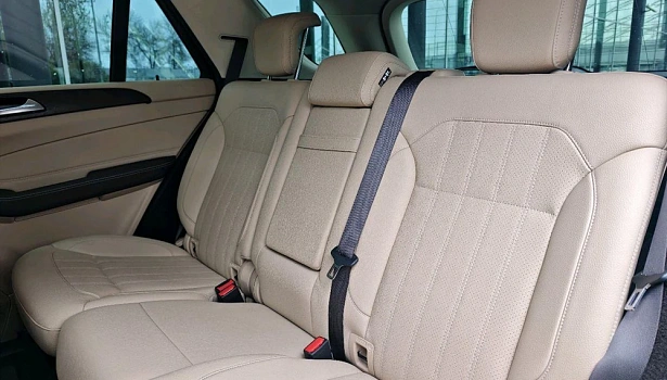 Mercedes-Benz GLE 250 d 4MATIC Внедорожник Особая серия (204 л.с.) фото 17