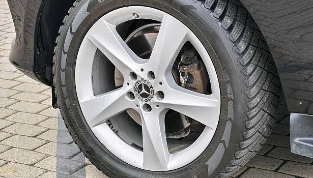 Mercedes-Benz GLE 250 d 4MATIC Внедорожник Особая серия (204 л.с.) фото 19