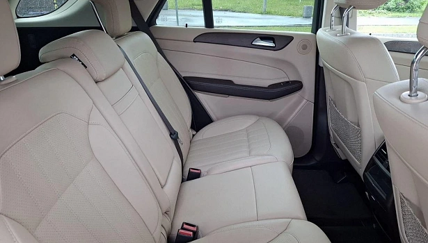 Mercedes-Benz GLE 250 d 4MATIC Внедорожник Особая серия (204 л.с.) фото 16