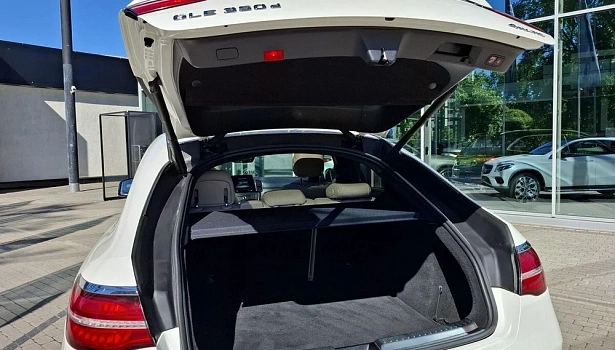 Mercedes-Benz GLE 350 d 4MATIC Внедорожник Особая серия (249 л.с.) фото 15