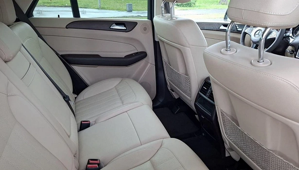 Mercedes-Benz GLE 250 d 4MATIC Внедорожник Особая серия (204 л.с.) фото 15