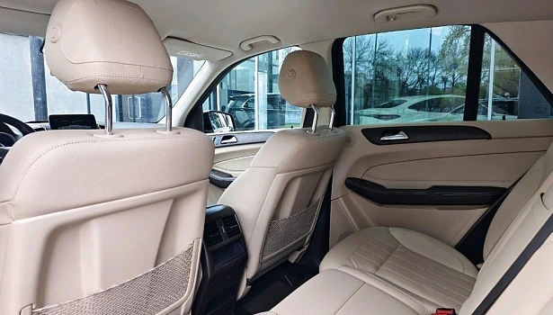 Mercedes-Benz GLE 250 d 4MATIC Внедорожник Особая серия (204 л.с.) фото 14