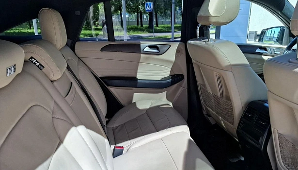 Mercedes-Benz GLE 350 d 4MATIC Внедорожник Особая серия (249 л.с.) фото 13