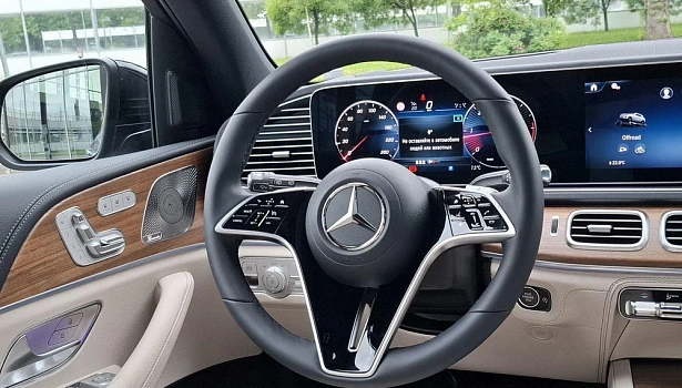 Mercedes-Benz GLE 300 d 4MATIC Внедорожник (269 л.с.) фото 10