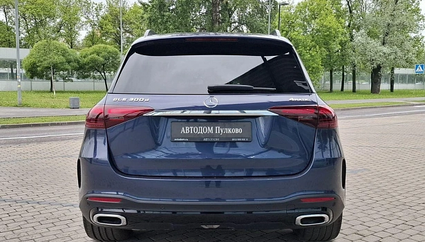 Mercedes-Benz GLE 300 d 4MATIC Внедорожник (269 л.с.) фото 8
