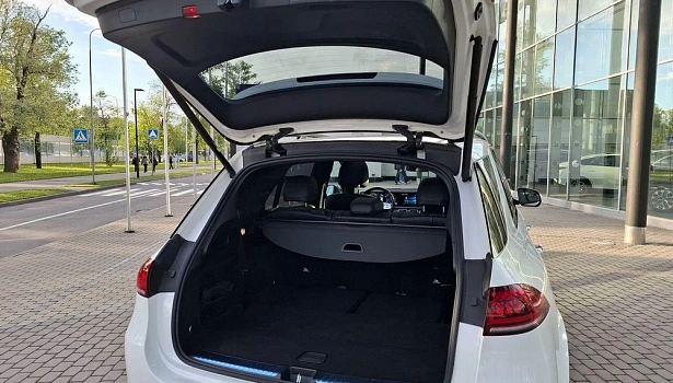 Mercedes-Benz GLE 350 d 4MATIC Внедорожник (272 л.с.) фото 15